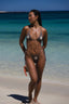 Sea Star Bikini Bottom
